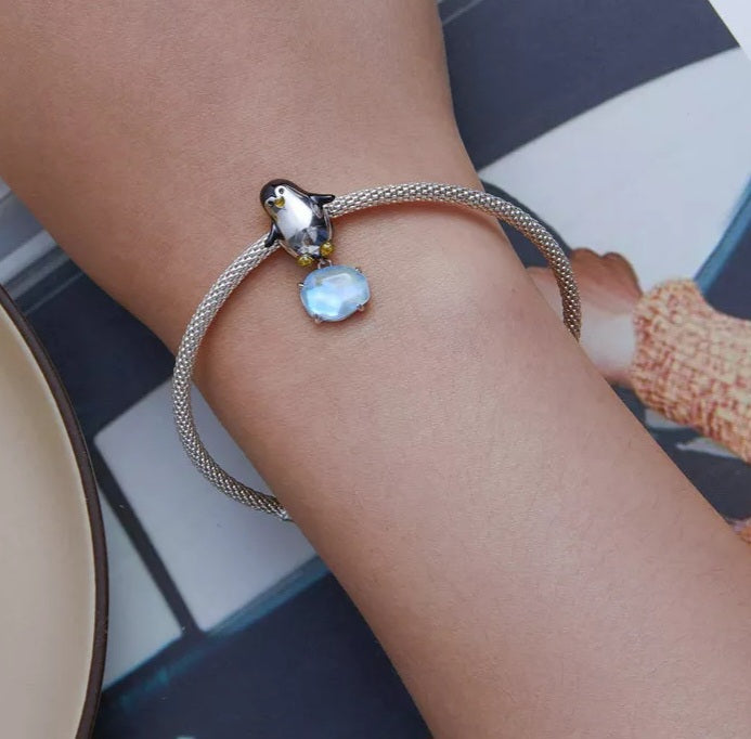 Hermoso charm pinguino sobre hielo tornasol